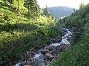 dojkinci-priroda-reka-stara-planina