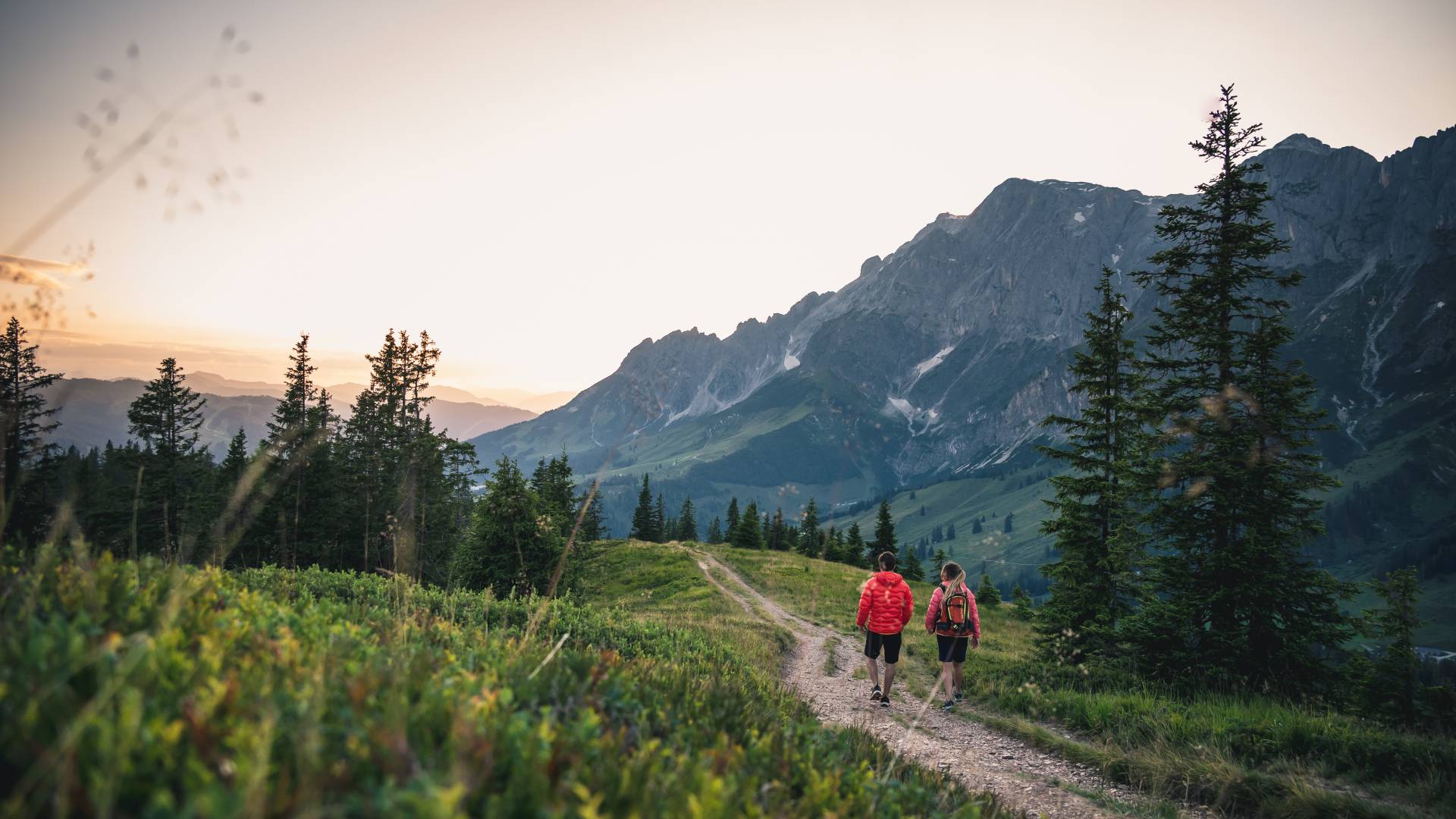 hiking-course hiking-course