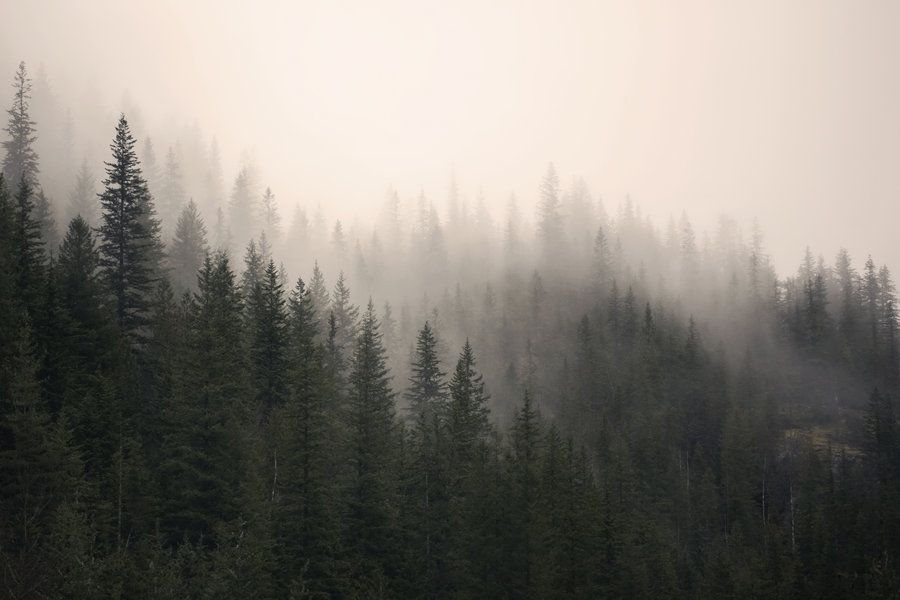 vreme-u-prirodi-planini-kampovanje